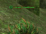 A deadly bloodbloom