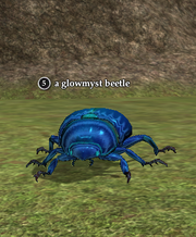 A glowmyst beetle