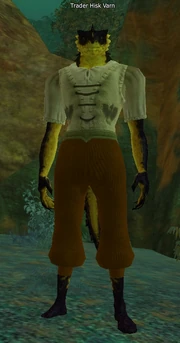 Trader Hisk Varn
