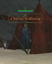 A Nerius Scallywag