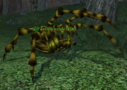 A yellow recluse spider