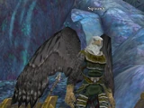 Sqrauwk