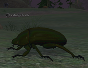 A sludge beetle