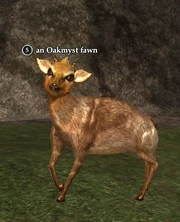 An Oakmyst fawn