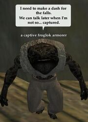 Captive froglok armorer