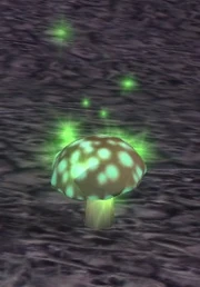 Green puffball mushroom