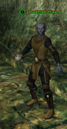 a Darkblade brigand (dark elf)