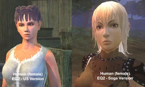 Soga human female