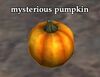 Pumpkin shiny