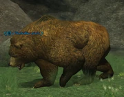 A Windstalker grizzly
