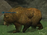 A Windstalker grizzly