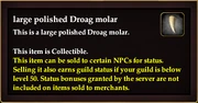 Large polished Droag molar
