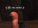 Vile strider