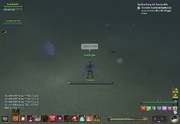 EQ2 000215