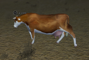 A cow (The Commonlands)