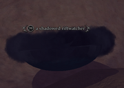 A shadowed riftwatcher