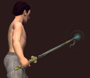 Aphotic Etched Wand equipped