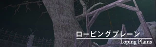 ローピング・プレーンへ