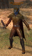 a prisoner guard (dark elf)