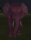 Pink Elephant