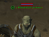 A Bloodskull architect