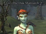 The Oak Matriarch