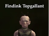 Findink Topgallant