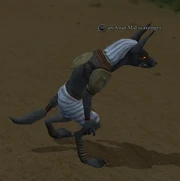 An Anaz Mal scavenger