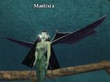 Maelixia