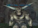 The Rotten Minotaur Hero