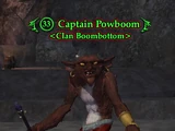 Captain Powboom