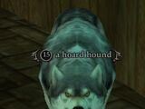 A hoard hound