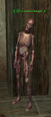 A zombie knight