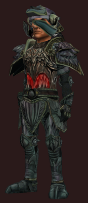 T9 Plate Offensive - Hard (Armor Set) (Visible, Male)