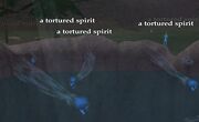 Tortured spirits