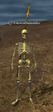 A skeletal footsoldier