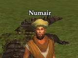 Numair