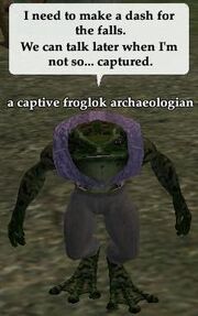 Captive froglok archaeologian