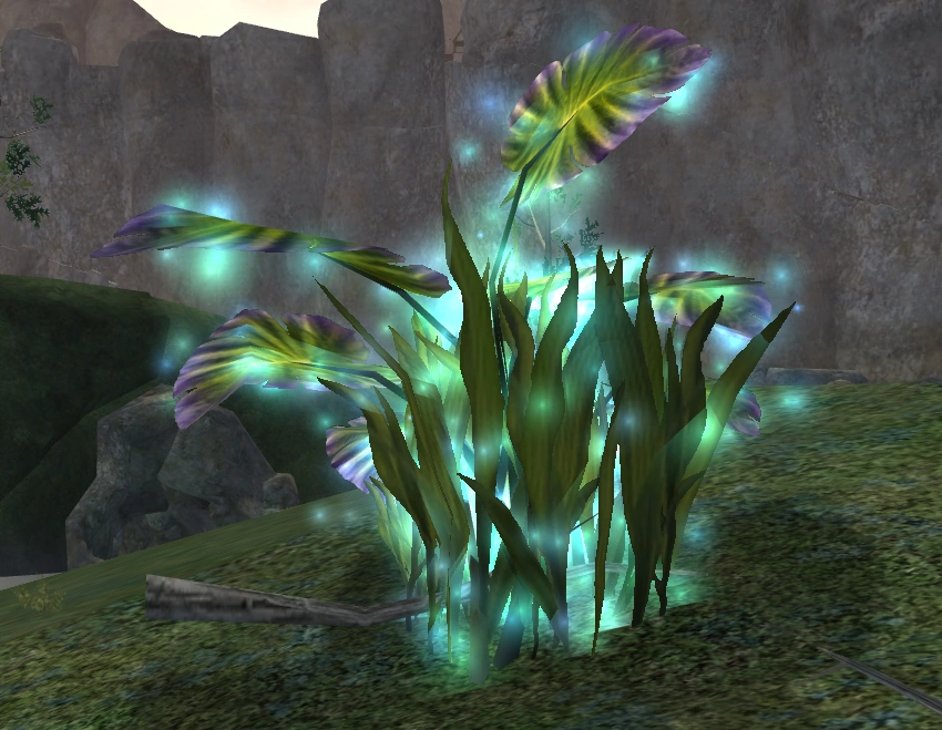 Yet more "Travels" of Yun Zi ECHO ECHo ECho Echo echo EverQuest 2