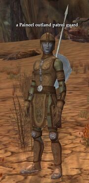 A Paineel outland patrol guard