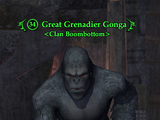 Great Grenadier Gonga