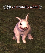 An ironbelly rabbit (Antonica)