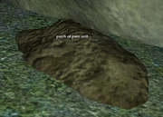 Patch of pure soil