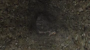 The Rumbler Caves