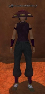 An Ashen Order elite