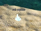 Salt Of The Earth