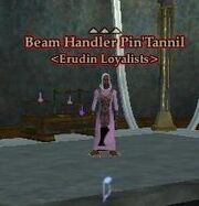 Beam Handler Pin'Tannil