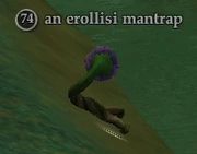 An erollisi mantrap