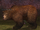 A giant wilderbear