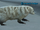 An arctic badger